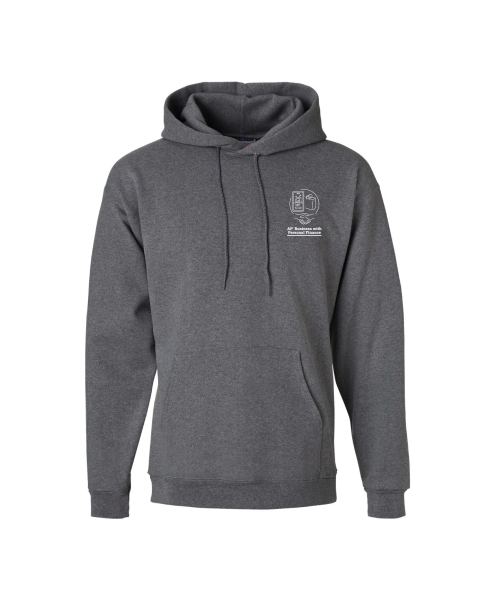 AP Business with Personal Finance Hoodie